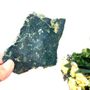 Green Ocean Jasper Slice
