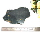 Green Ocean Jasper Slice
