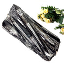 Orthoceras Cluster Plates with Metal Stand (Stability)