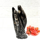 Orthoceras Cluster (Stability)