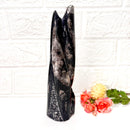 Orthoceras Cluster (Stability)