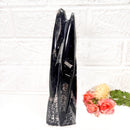 Orthoceras Cluster (Stability)