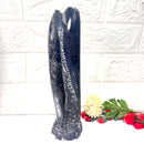 Orthoceras Cluster (Stability)