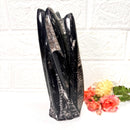 Orthoceras Cluster (Stability)