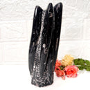 Orthoceras Cluster (Stability)