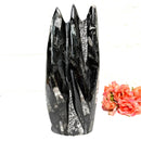 Orthoceras Cluster (Stability)