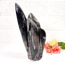 Orthoceras Cluster (Stability)