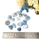 Owyhee Blue Opal Tumble (Inspiration )