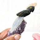 Small Crystal Birds / Parrots on Amethyst Druzy from Brazil