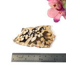 Peanut Wood Slices  (Stability)