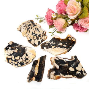 Peanut Wood Slices  (Stability)