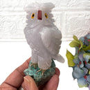 Crystal Owls from Peru