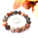 Petrified Wood Bracelets (Grounding)