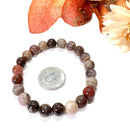 Petrified Wood Bracelets (Grounding)