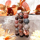 Petrified Wood Bracelets (Grounding)