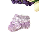 Size_option d (9.2 g)