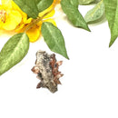 Pink Imperial Topaz on Matrix