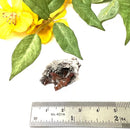 Pink Imperial Topaz on Matrix