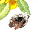 Pink Imperial Topaz on Matrix