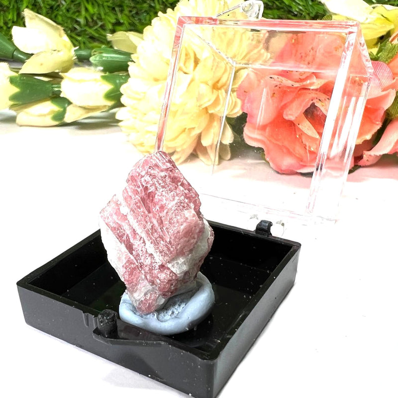 Pink Tourmaline Mineral Specimen from Brazil (Compassion & Love)