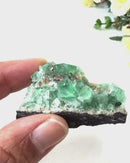 Green Fluorite Clusters from England