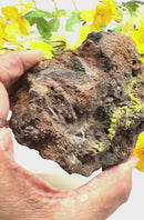 Pyromorphite on Matrix Specimen from Morocco (Achieve Goals)