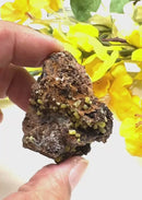 Pyromorphite on Matrix Specimen from Morocco (Achieve Goals)
