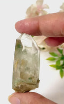 Phantom Quartz (Growth & Enlightenment)