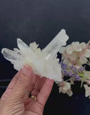 Clear Quartz Lemurians from Colombia (Master Healers)