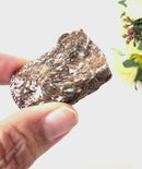 Astrophyllite Rough