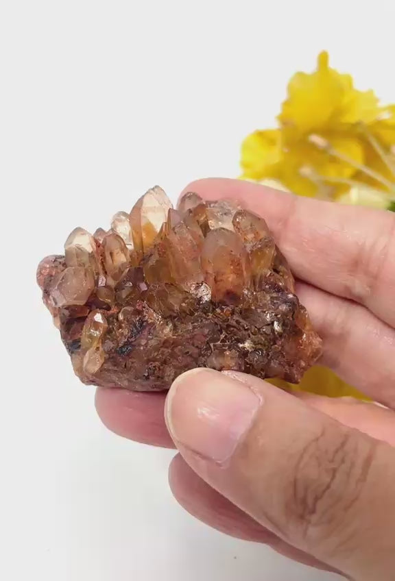 #Size_cluster a (45.5 g)