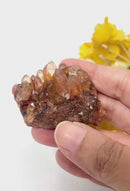 Natural Citrine Clusters from Nigeria (Career) (Not Heated)