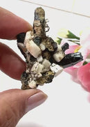 Aegirine Mineral Specimen (Transformation & Protection)