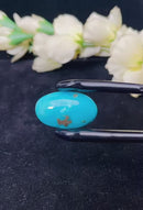 Natural Iranian Turquoise Gem (Firoza)