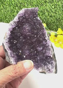 Standing Amethyst Clusters from Uruguay AAA Quality (High Vibrations)