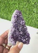 Standing Amethyst Clusters from Uruguay AAA Quality (High Vibrations)