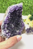 Standing Amethyst Clusters from Uruguay AAA Quality (High Vibrations)