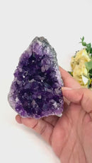 Standing Amethyst Clusters from Uruguay AAA Extra (Very dark Purple)