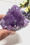 Natural Amethyst Clusters in AAA Extra Quality (Option Wise)
