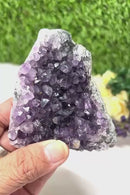 Standing Amethyst Clusters from Uruguay AAA Quality (High Vibrations)