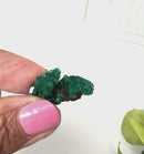 Dioptase Mineral Clusters (Katango, Congo) (Emotional healing)