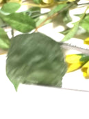 Moldavite Rough (Spiritual growth & Abundance)