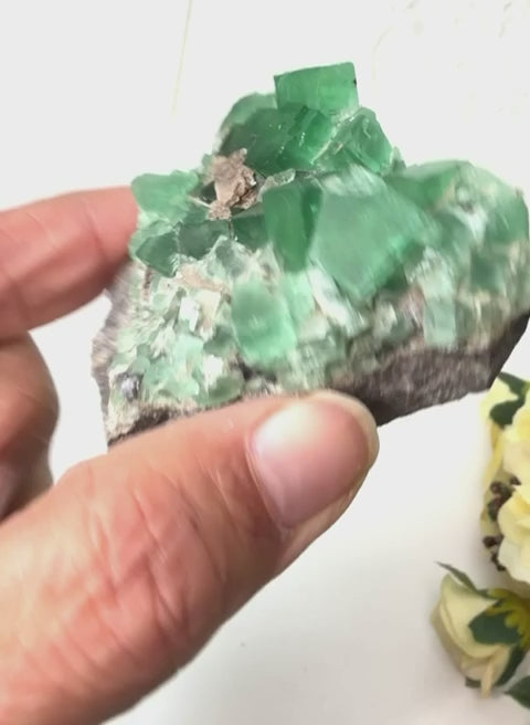 #Size_option b (74.4 g)