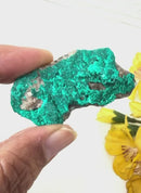 Dioptase Mineral Specimen (Resolve past Karma)