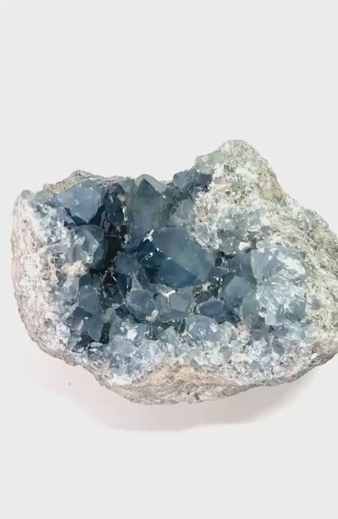 #Size_cluster 8 (4.9 kgs)