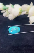 Natural Iranian Turquoise Gem (Firoza)