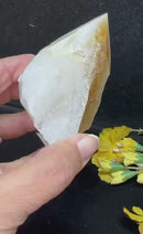 Rare Citrine Free forms with points from Brazil