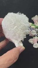 Needle Quartz Clusters from Colombia (Master Healers)