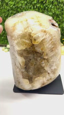 Citrine Cluster on a Stand (Career and Abundance)