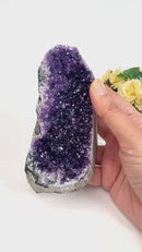 Standing Amethyst Clusters from Uruguay AAA Quality (High Vibrations)